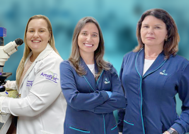 O Flevet chegou em Porto Alegre